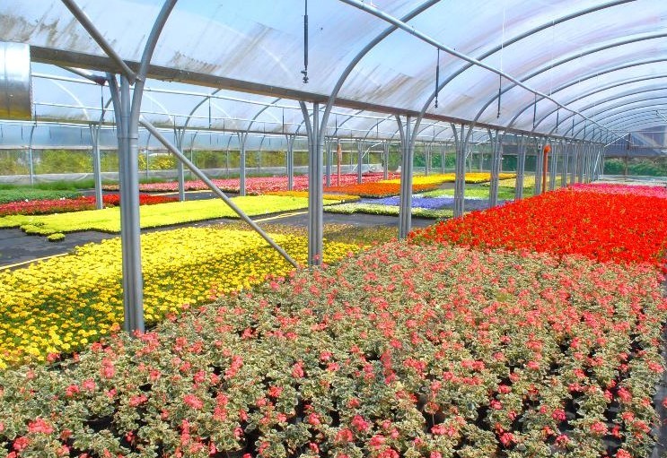 Horticulture Modern Apprentice Westbank Depot, Jeanfield Road, Perth