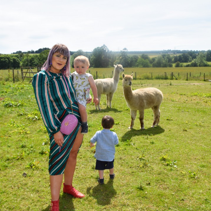 Solas Festival 2018 7