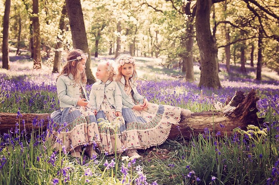 Bluebell Wood Kinclaven