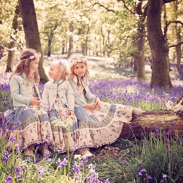 Bluebell Wood Kinclaven