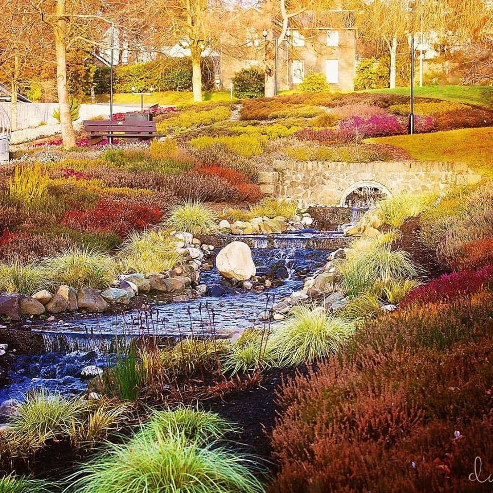Heathers at Rodney Gardens, how lucky are we to have this on our doorstep.  Thank you Beautiful Perth!