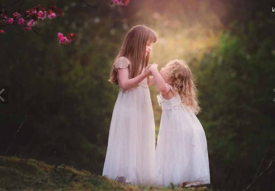 Blossom Trees  at Bellwood Park