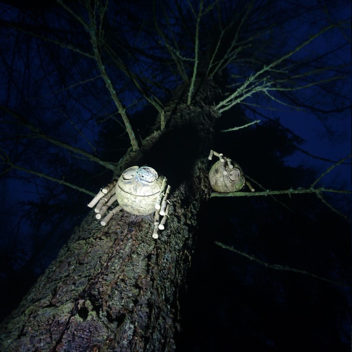 If you go down to the woods today your sure to find a surprise. Local photorapher Fraser Hetherington finds some spooky treats hidden amongst the Perthshire woodland