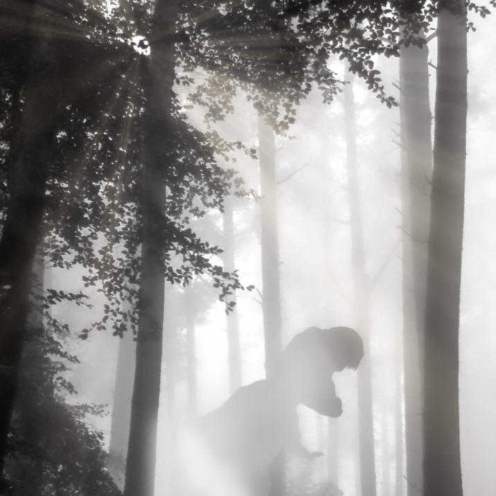 There's something sinister lurking in Kinnoull woods .. you could almost say something Prehistoric. Local photorapher Fraser Hetherington lets us into his world of fantasy fueled by his imagination