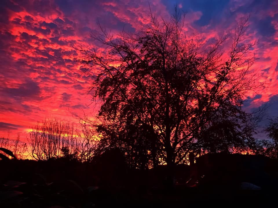 Jasmine McInnes captured this amazing red sky at night. An explosion of colour seen through the forest clearing in Perthshire.