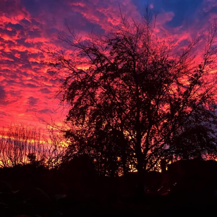 Jasmine McInnes captured this amazing red sky at night. An explosion of colour seen through the forest clearing in Perthshire.