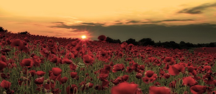 A unique one off concert to commemorate 100 years since Armistice day.