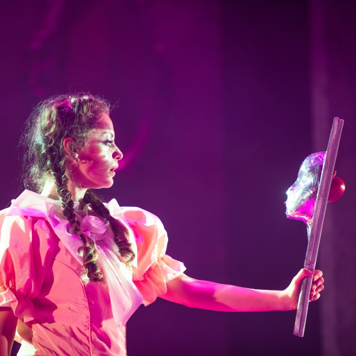 Panto 2018 - Pink pic