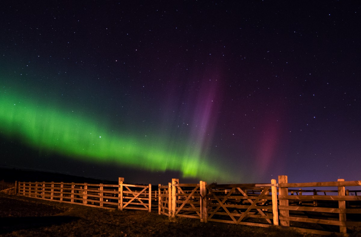 You don't need to travel all the way to Iceland to see the Northern Lights, as this gorgeous shot captured by Nadine proves!