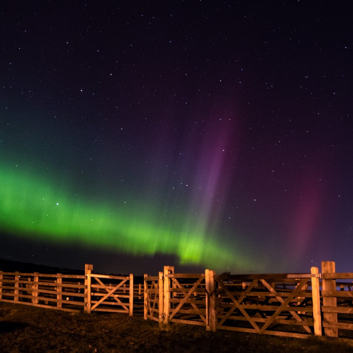 You don't need to travel all the way to Iceland to see the Northern Lights, as this gorgeous shot captured by Nadine proves!