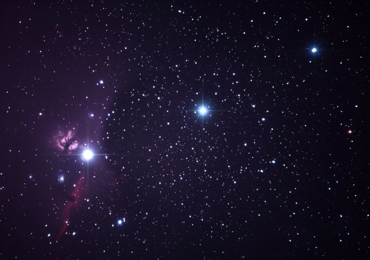 The Flame and Horsehead Nebulas