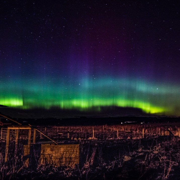 Alien hues of midnight blue and luminous green highlight the skies with a supernatural mystique