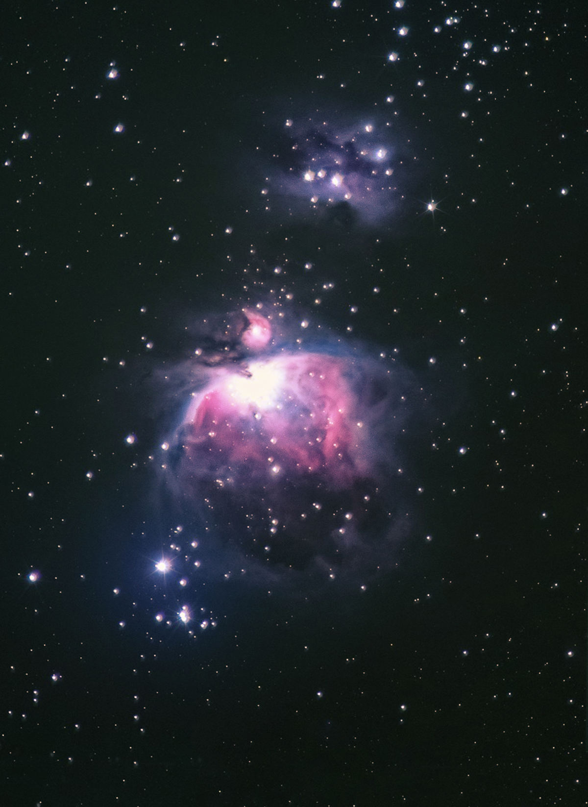 A star is born: Some scientists estimate up to a 1000 stars are being born in  the Orion Nebula pictured above.