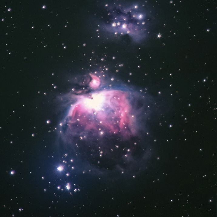 A star is born: Some scientists estimate up to a 1000 stars are being born in  the Orion Nebula pictured above.