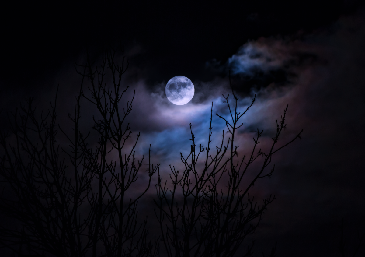 The rise and fall of ocean tides here on Earth is caused by the Moon's gravitational pull...