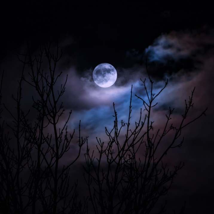 The rise and fall of ocean tides here on Earth is caused by the Moon's gravitational pull...