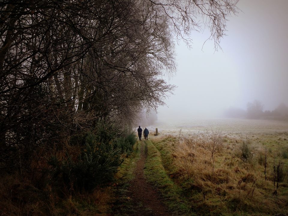 A crisp winters morning on a rural farm track near Scone photographed by Lorraine Clark