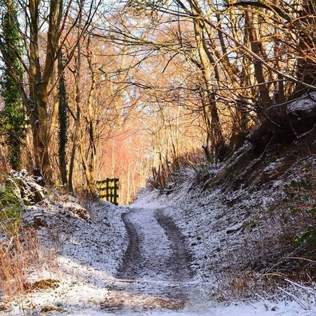 A gorgeous frosty snap of the Quarrymill woodland photographed by Louise Webster