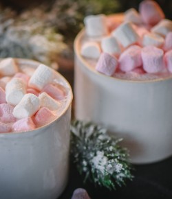 Spiced Hot Chocolate with Gin