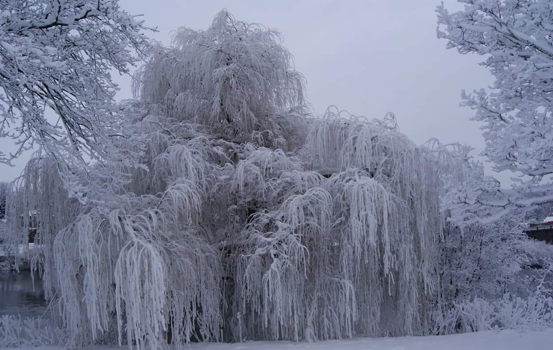 A winter wonderland on the North Inch