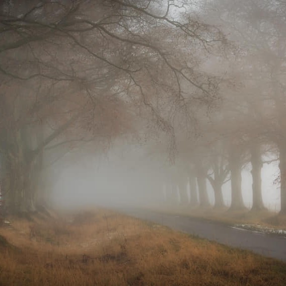 Stormontfield, Perthshire in a winters blizzard