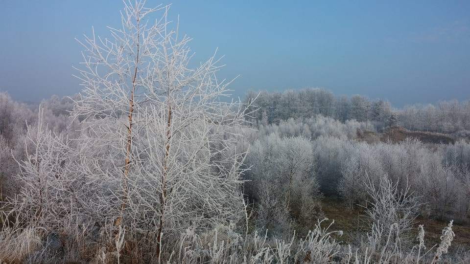 The Quarry at the Bield near Tibbermore, Perthshire looking like a Winter Wonderland