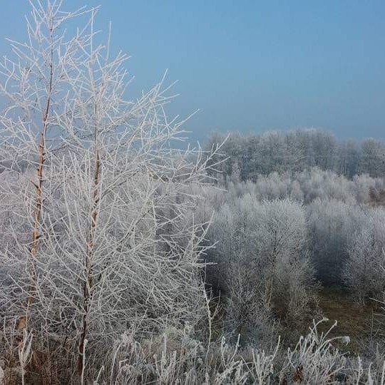 The Quarry at the Bield near Tibbermore, Perthshire looking like a Winter Wonderland