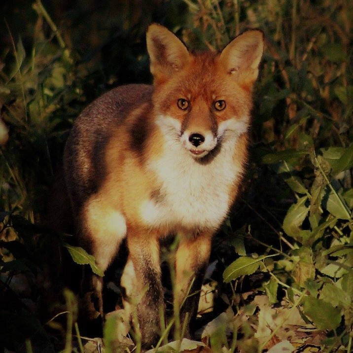 But first...let me take a selfie!