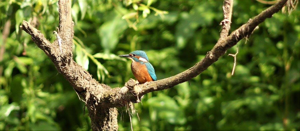 Looks like an image from a tropical island but was taken right here in bonnie Perth!