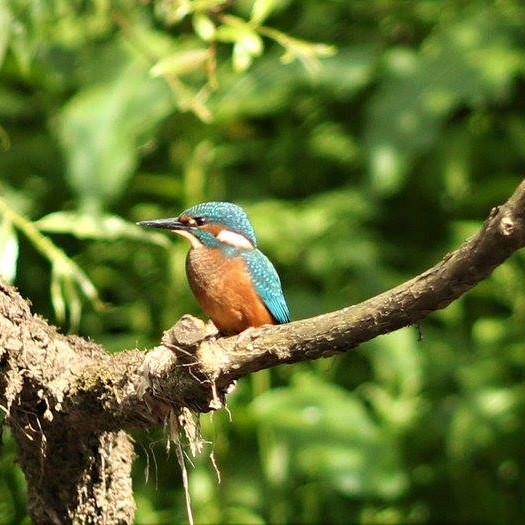 Looks like an image from a tropical island but was taken right here in bonnie Perth!