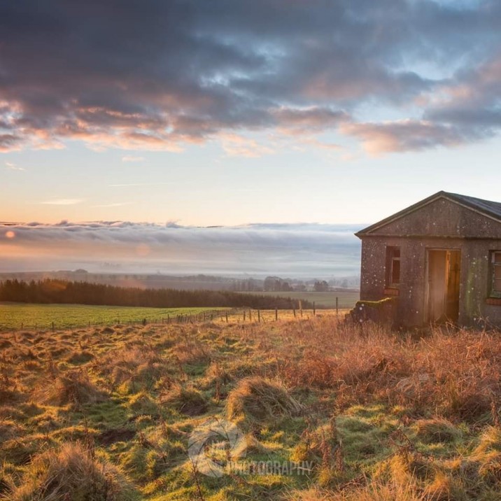 When the Sun is close to the horizon on a sunny day, its light appears warmer and softer. This makes the golden hour - casting a magical, soft glow.