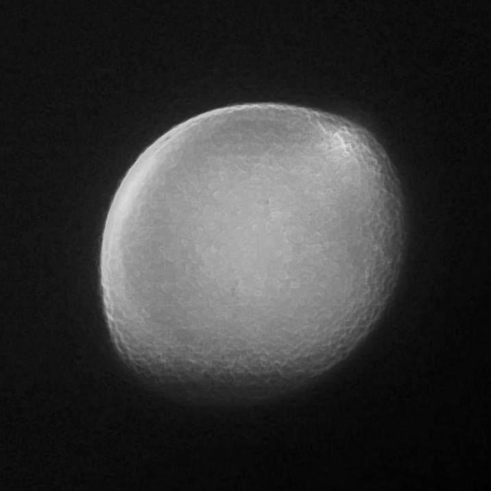 I'm your Venus, I'm your fire! Your desire...