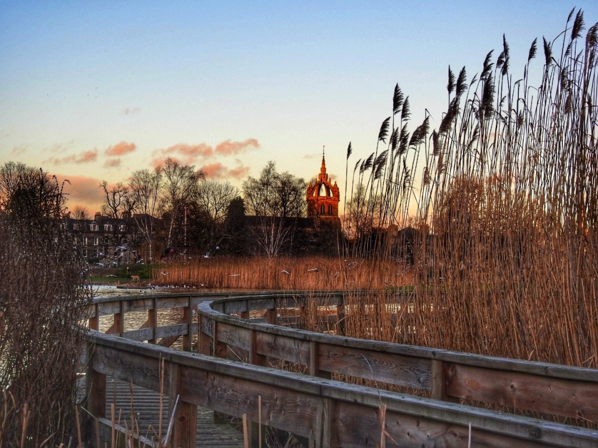 We are loving this peaceful picture as taken by Marysia at the South Inch.