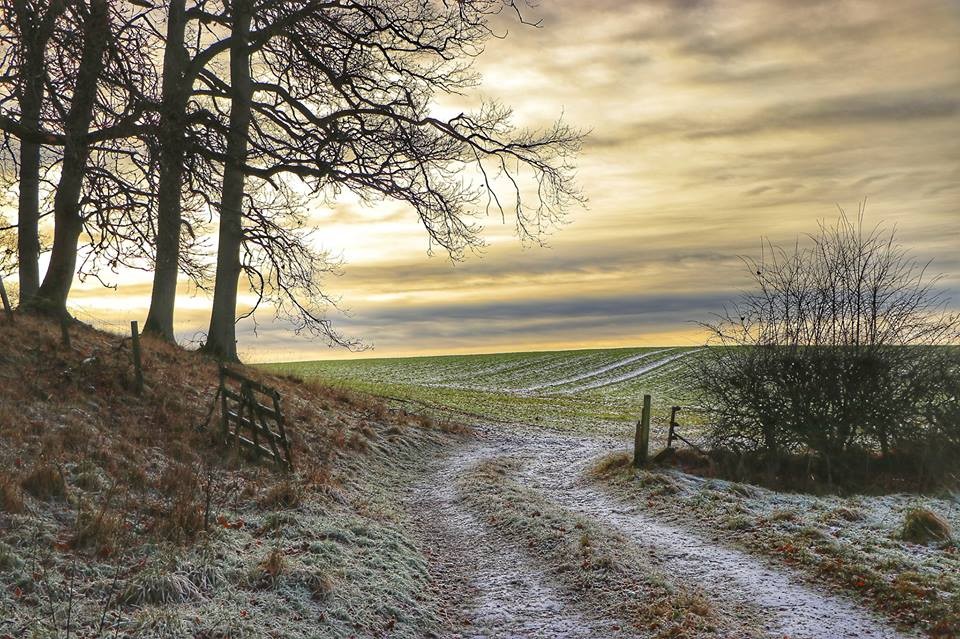 A nice freezing cauld walk to Bertha Loch!