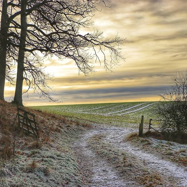 A nice freezing cauld walk to Bertha Loch!