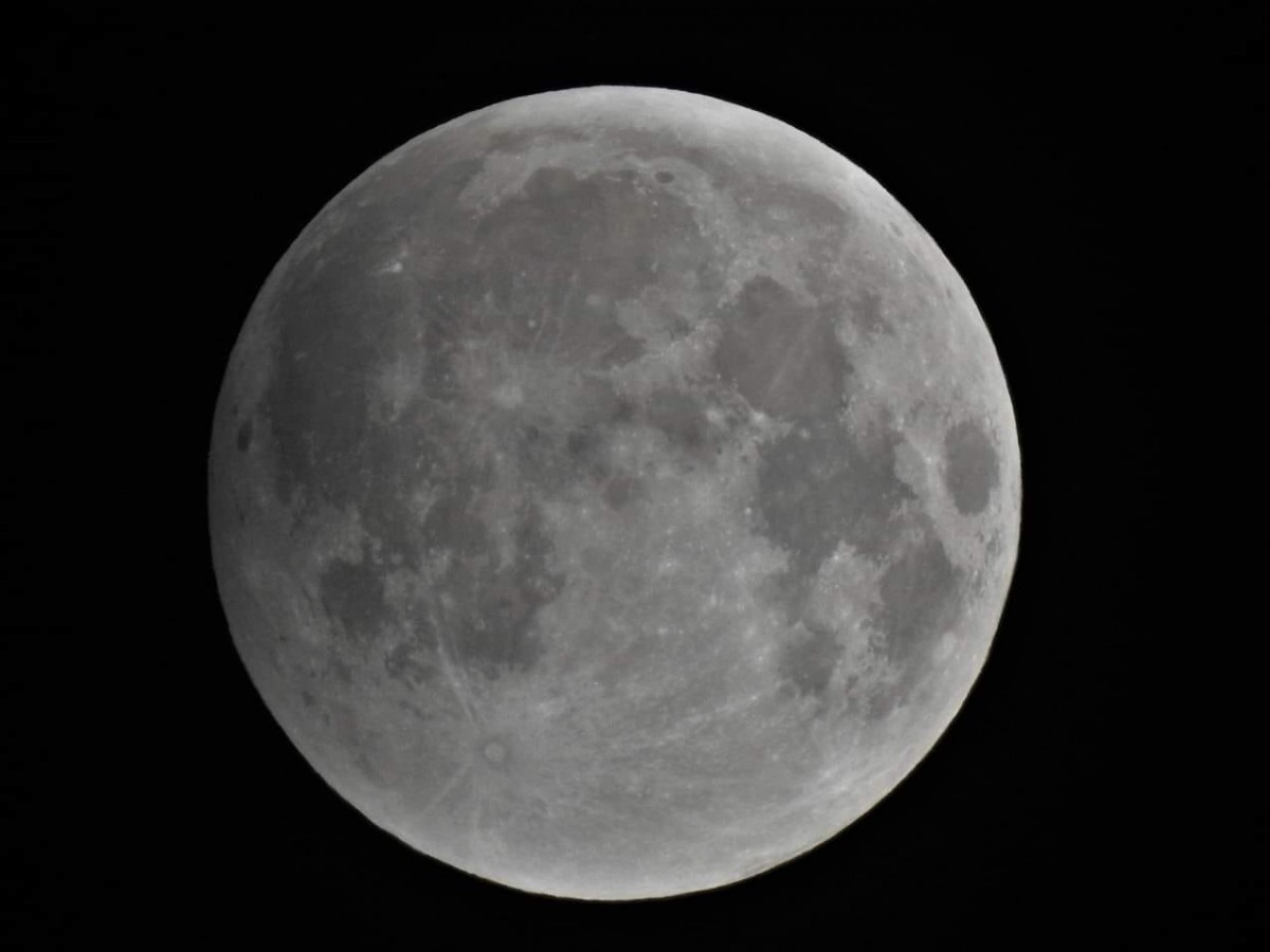 "As the lukewarm hands of the Gods/ Came down and gently picked my adrenaline pearls/They placed them in their mouths/And rinsed all of the fear out" - Moon by Bjork