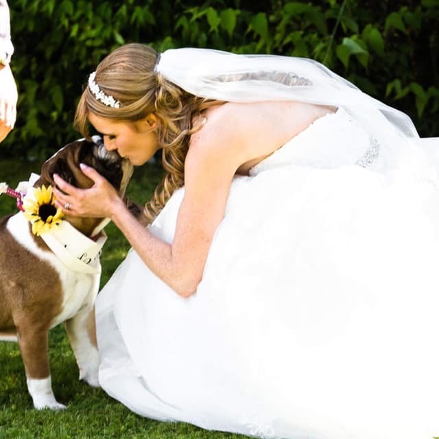 "This is Roxy and I on my wedding day! Roxy is the most loving and kind hearted dog, and she never fails to put a smile on our faces. To me she more than just a dog: she is our family." - Fiona Brailsford