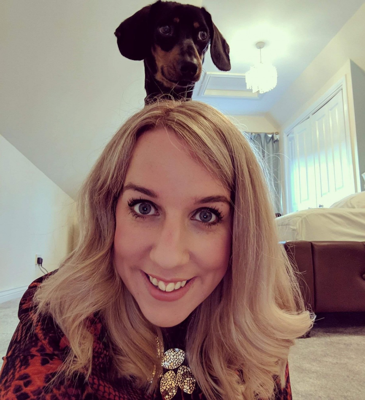 "My little 2 year sausage, Link. He is mad and thinks he is the size of a horse, but he will never fail to make anyone smile and he loves a cuddle. Here he is casually sitting on my shoulders! He is without a doubt my best pal and fur baby." - Hayley Smith