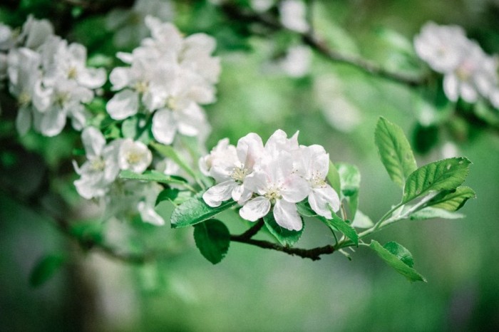Always fancied your hand at creating your own bespoke flower arrangements? Come along to this fantastic workshop at Violet Studios with florists Painterly & Blooms and let your creativity bloom!