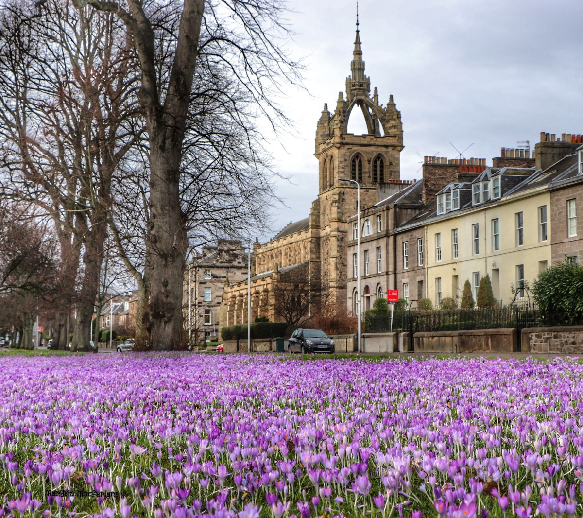 A beautiful picture of Perth in Spring.