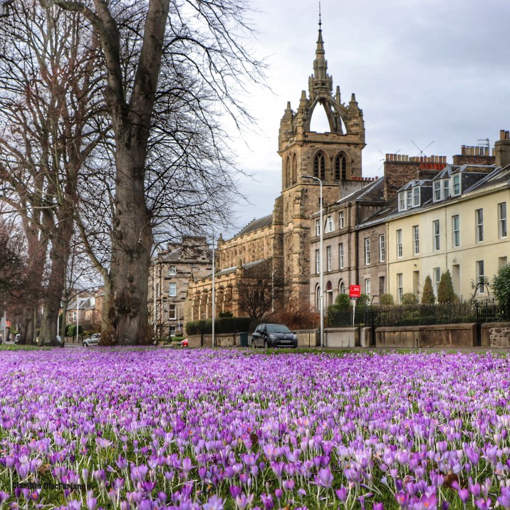 A beautiful picture of Perth in Spring.