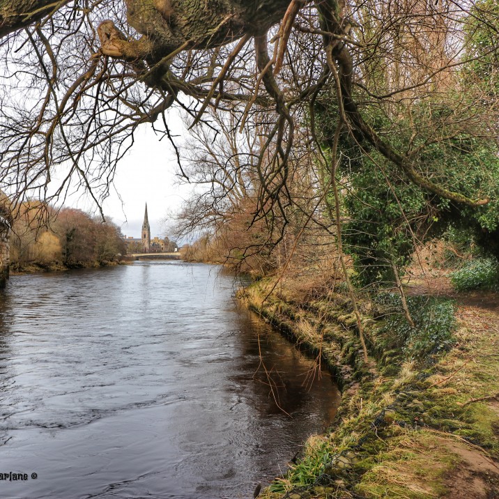 The silvery River Tay and the spire of St Matts church. This is such an iconic Perth pic!