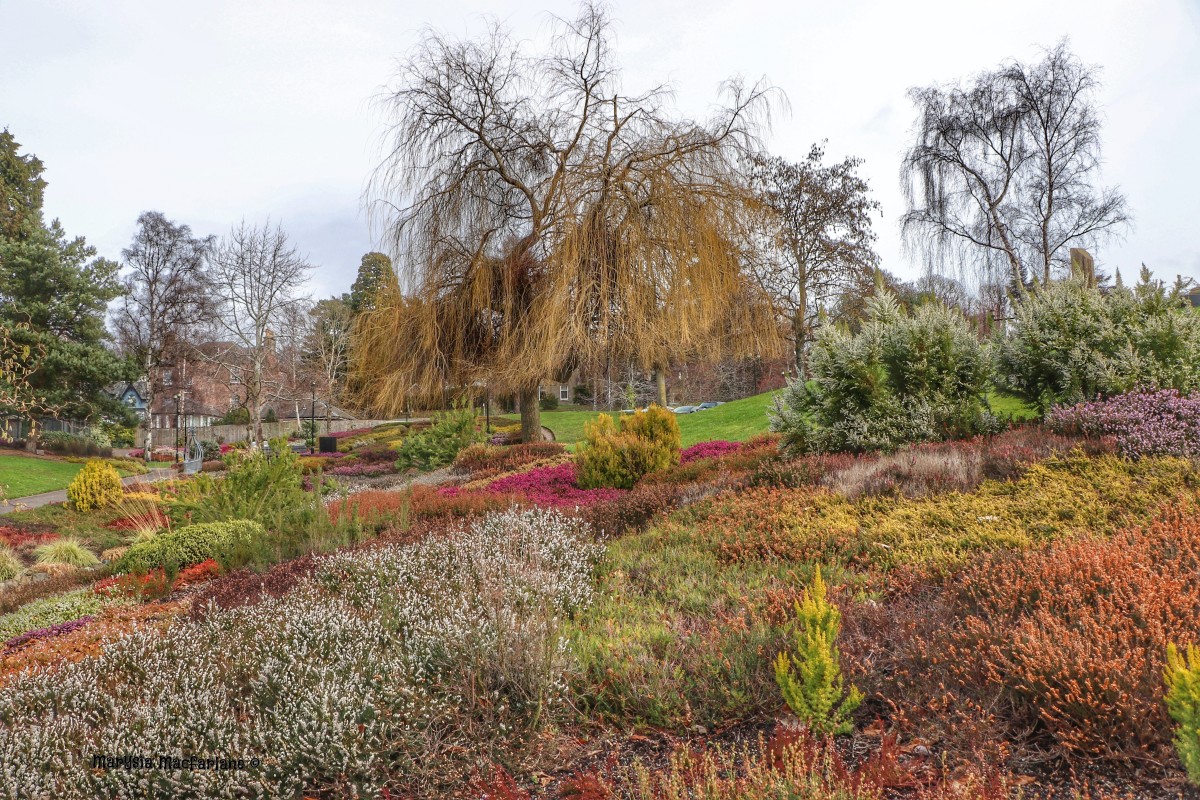 Rodney gardens changing colours moving into spring.