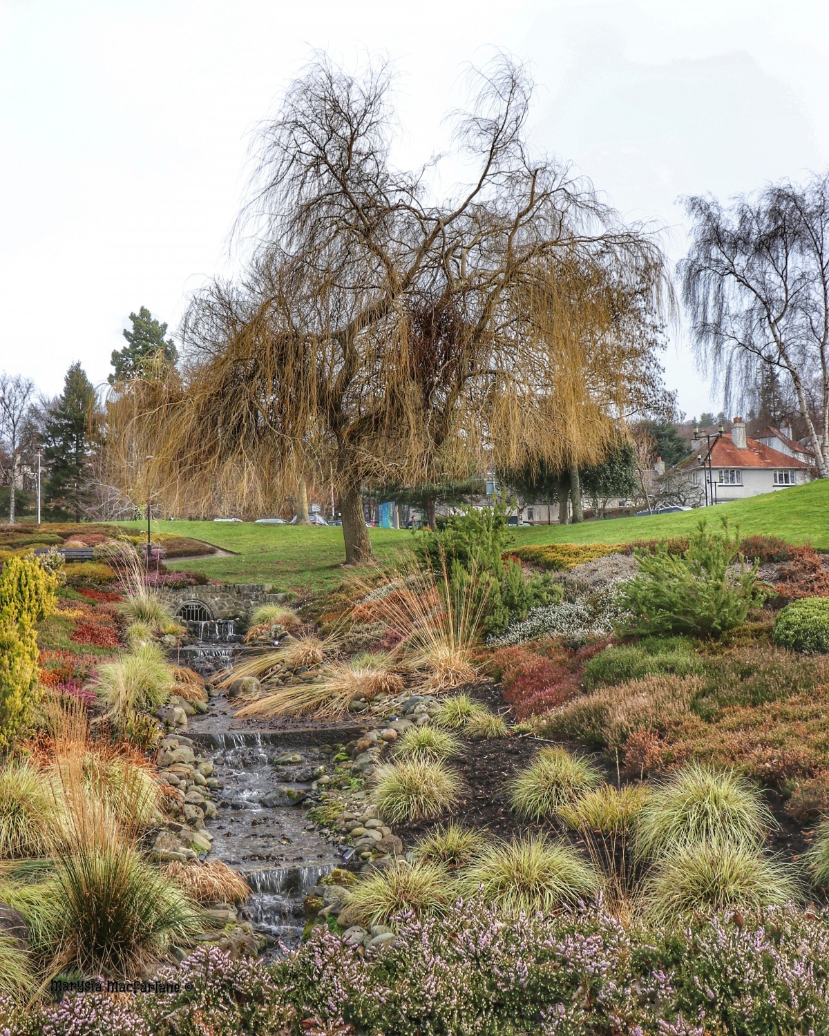 A beautiful spring snap at Rodney.