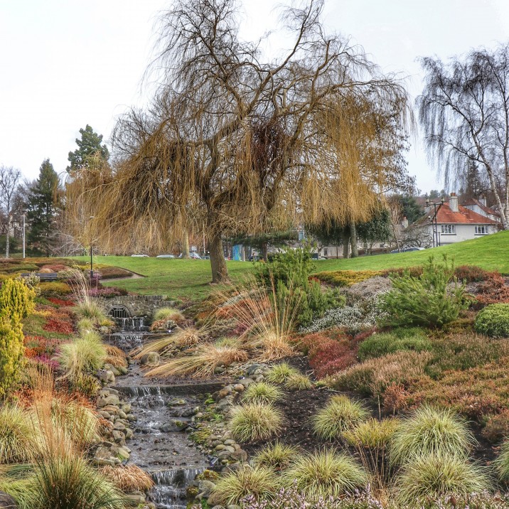 A beautiful spring snap at Rodney.