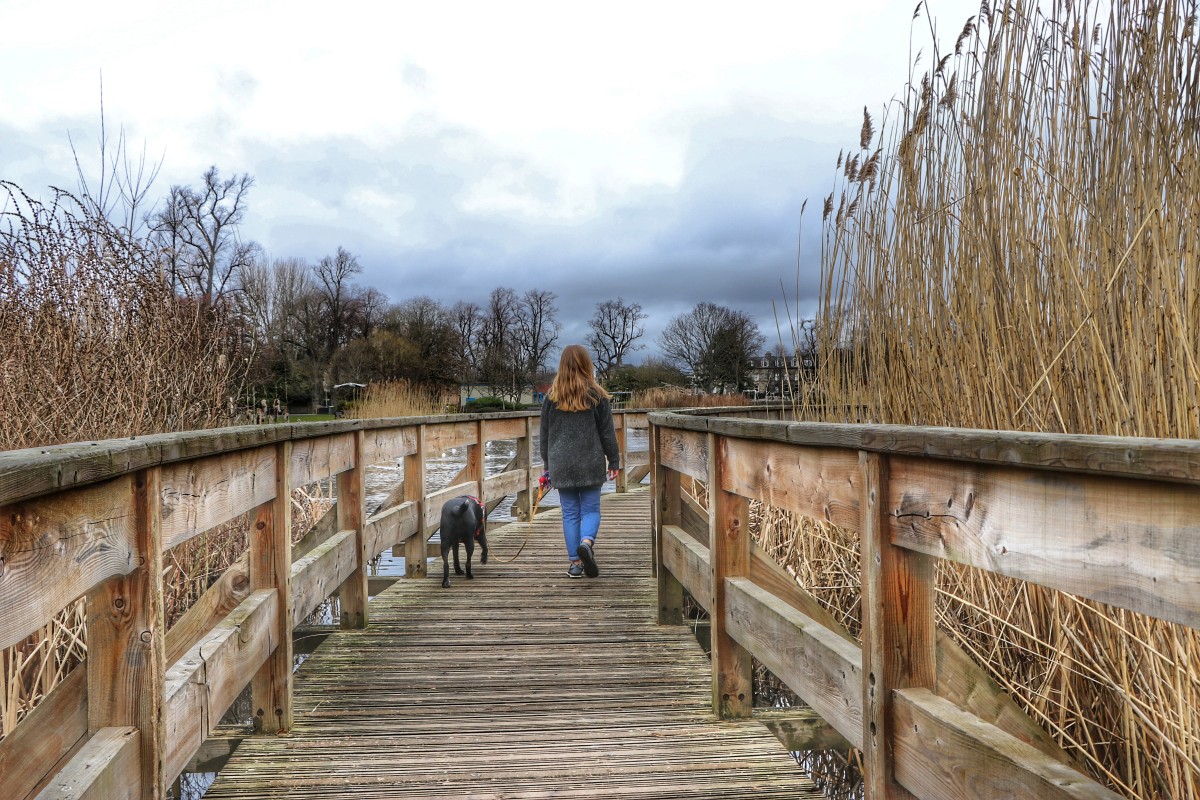 Who's that trip trapping over the bridge?