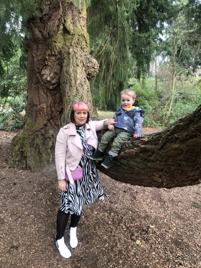 River loved climbing tree's with the help from his mama