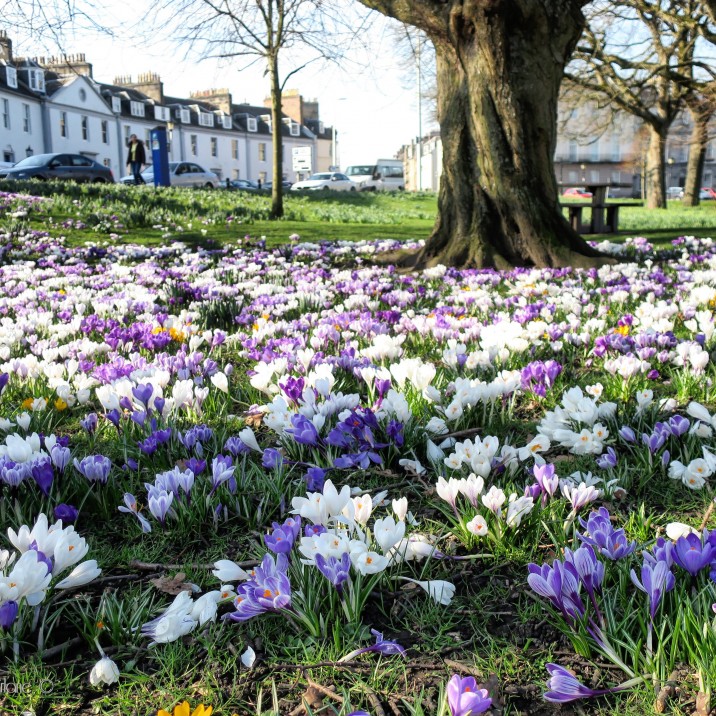 A beautiful Spring scene.