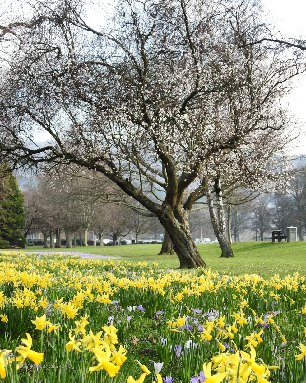 What a glorious scene!