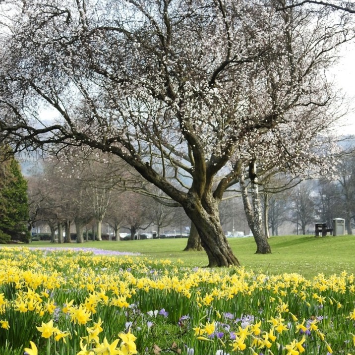 What a glorious scene!